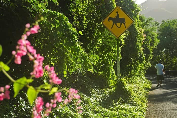 East End Rd, St. John USVI