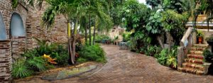 Caribbean Museum Center for the Arts