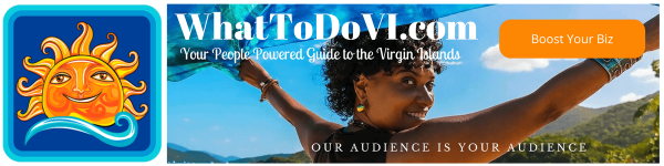 What To Do VI Boost Your Biz