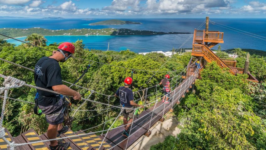 Tree Limin Extreme St Thomas